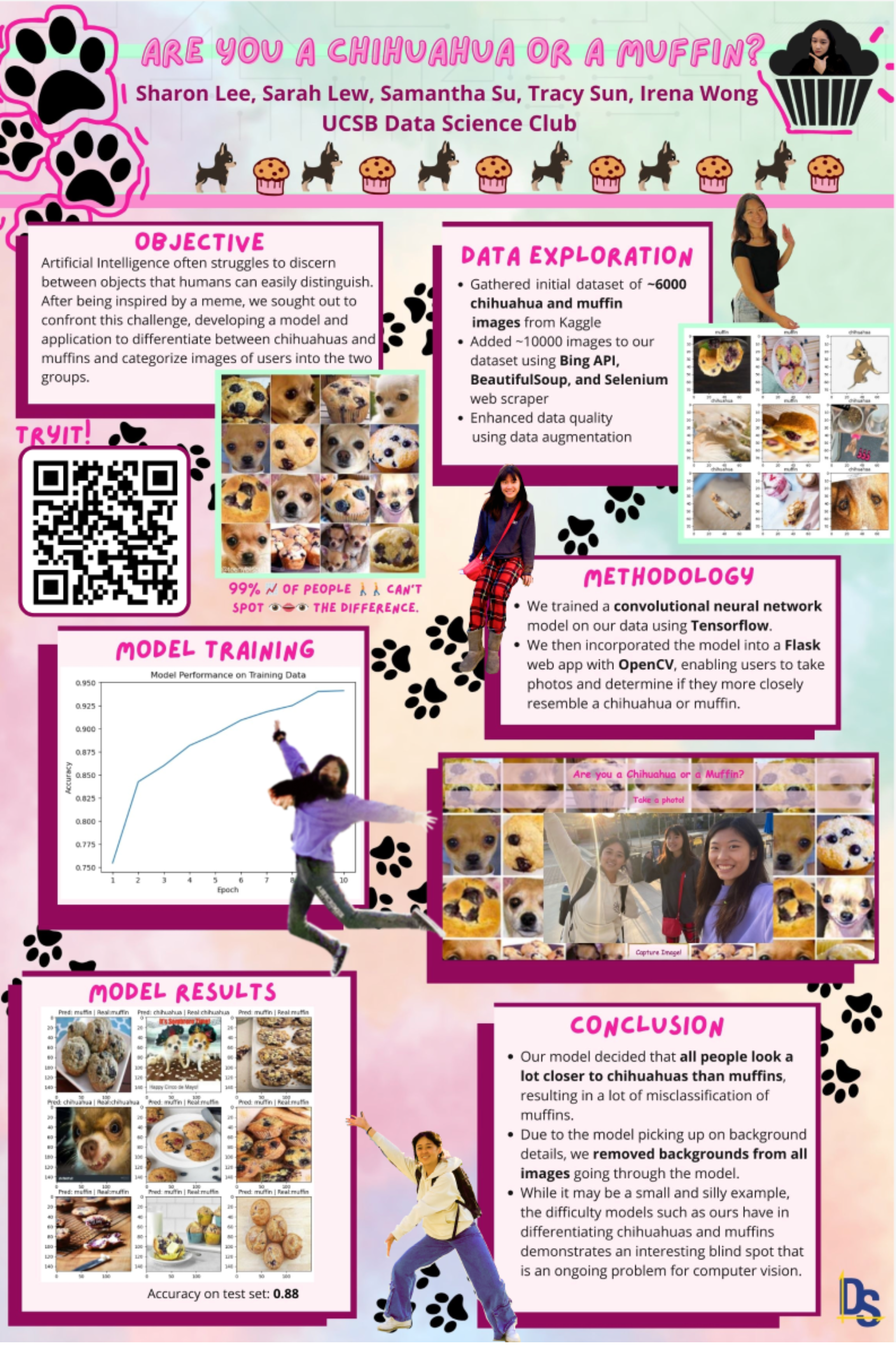 Chihuahua Muffin Project
